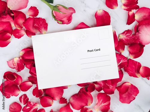 White paper postcard over rose flowers with space for text or image.