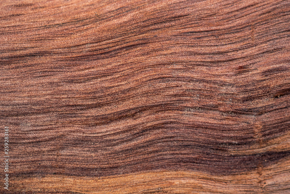 Naklejka premium Wood Texture Abstract Background with blank space for text and image can use for background design.