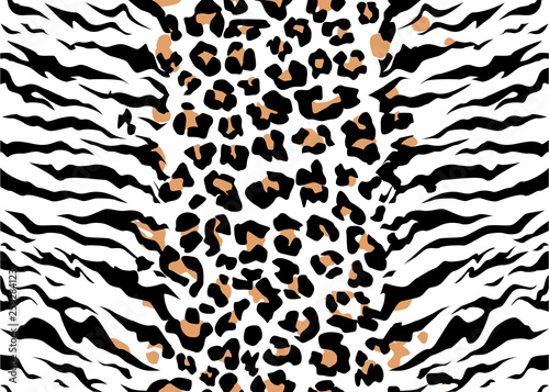 Print leopard tiger jaguar texture abstract background orange black. Vector jungle. Bengal cat strip