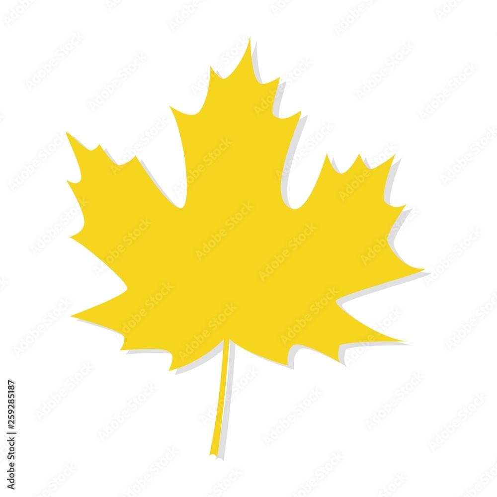 autumn maple leaf vector on a white background autumn maple leaf vector on a white background