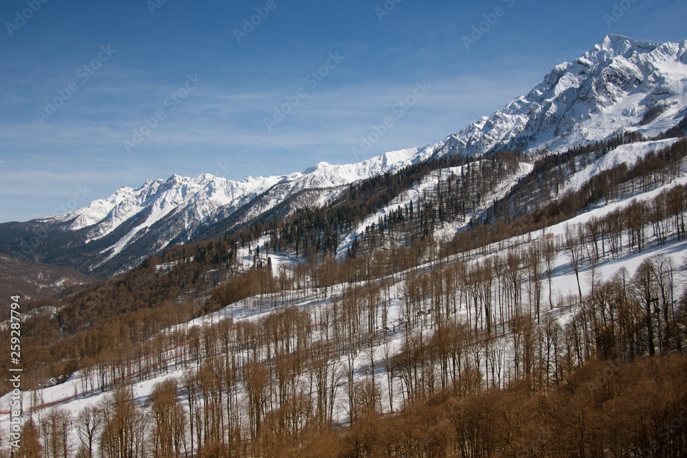 Holidays in the mountains. Beautiful view.