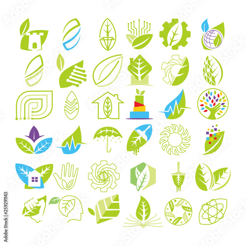 Leaf Logo Design Vector Template Set