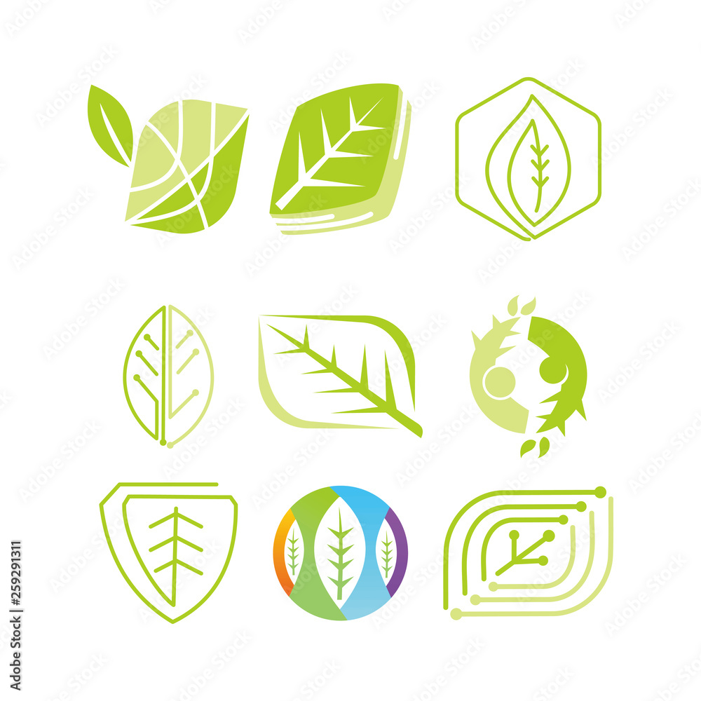 Leaf Logo Design Vector Template Set Leaf Logo Design Vector Template Set