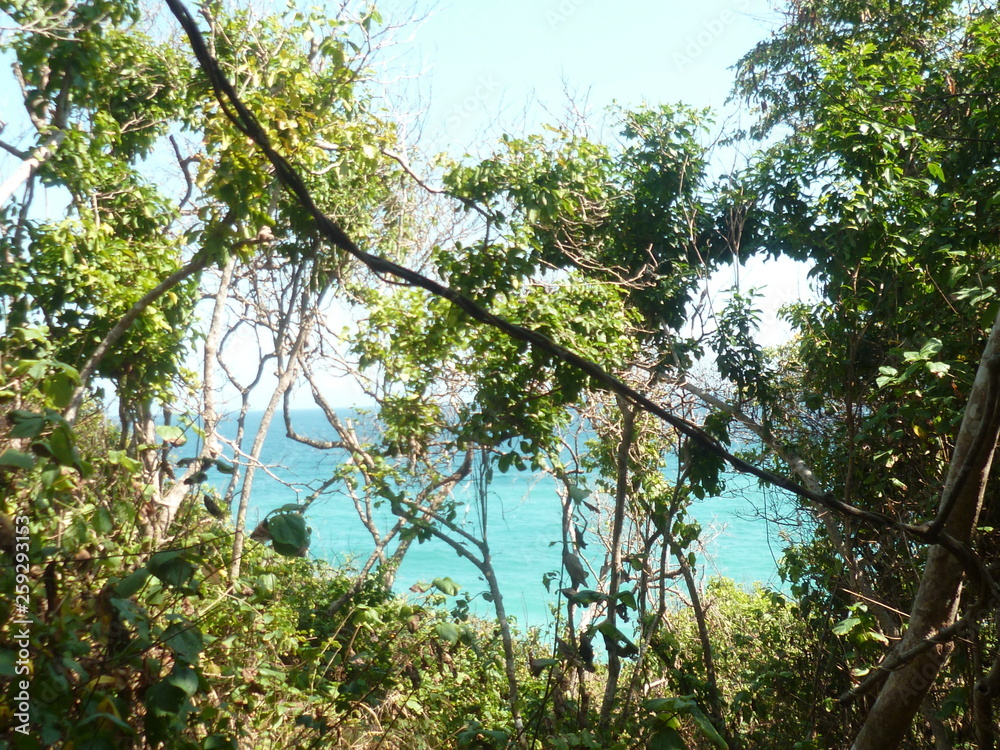 Fototapeta premium Mer des Caraïbes jungle