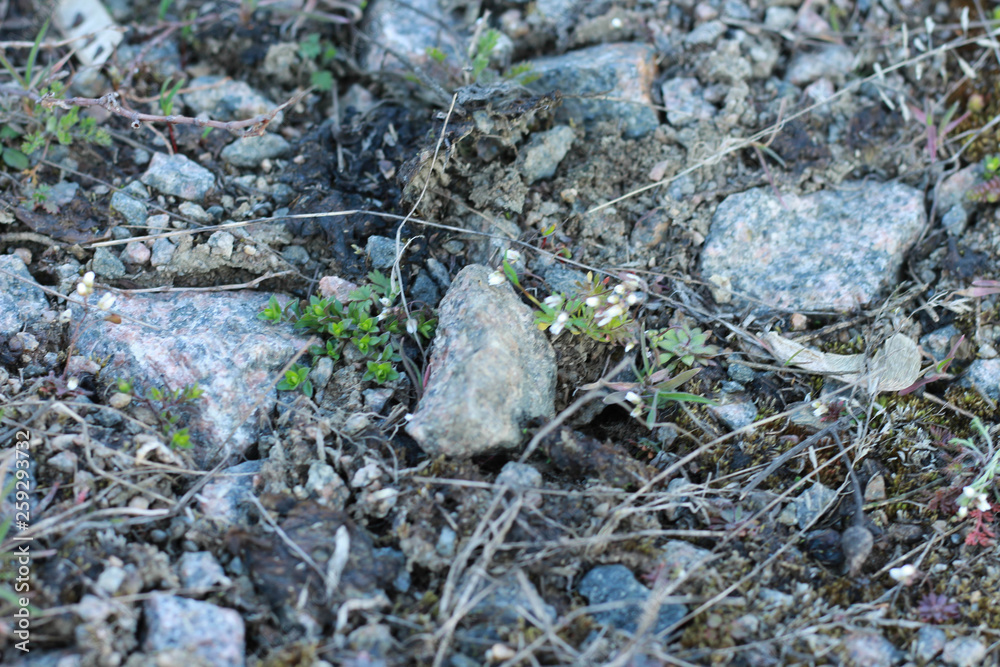 stone background full frame stone background full frame