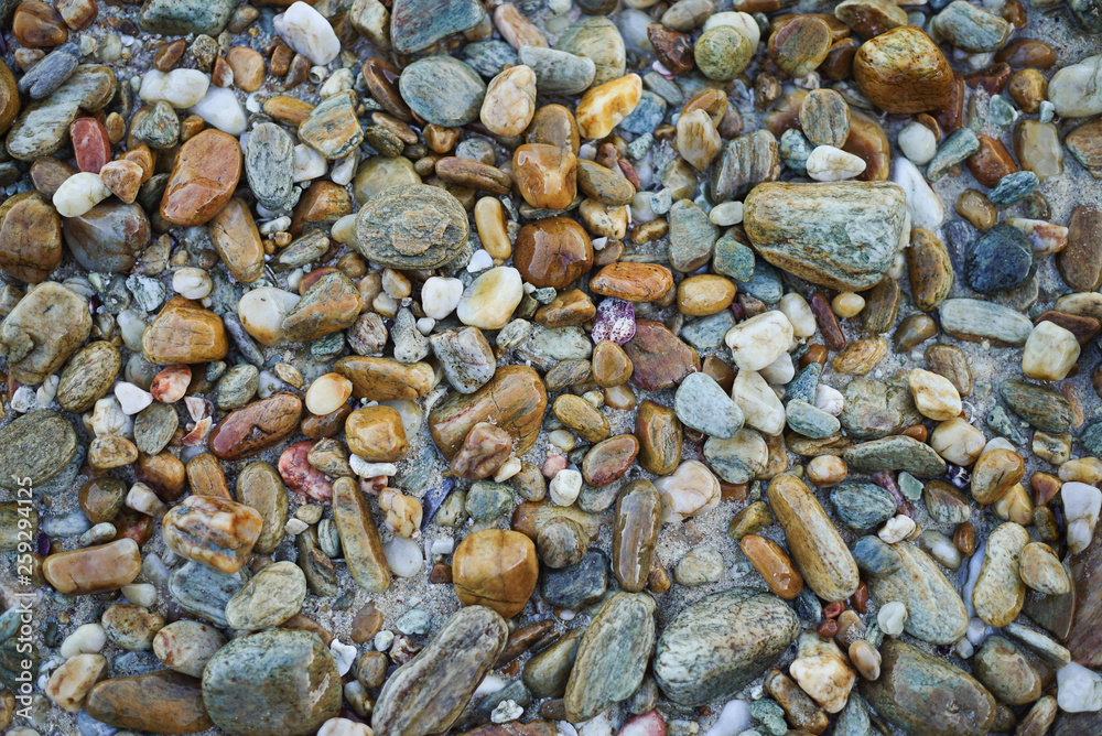 Multi color pebbles Multi color pebbles