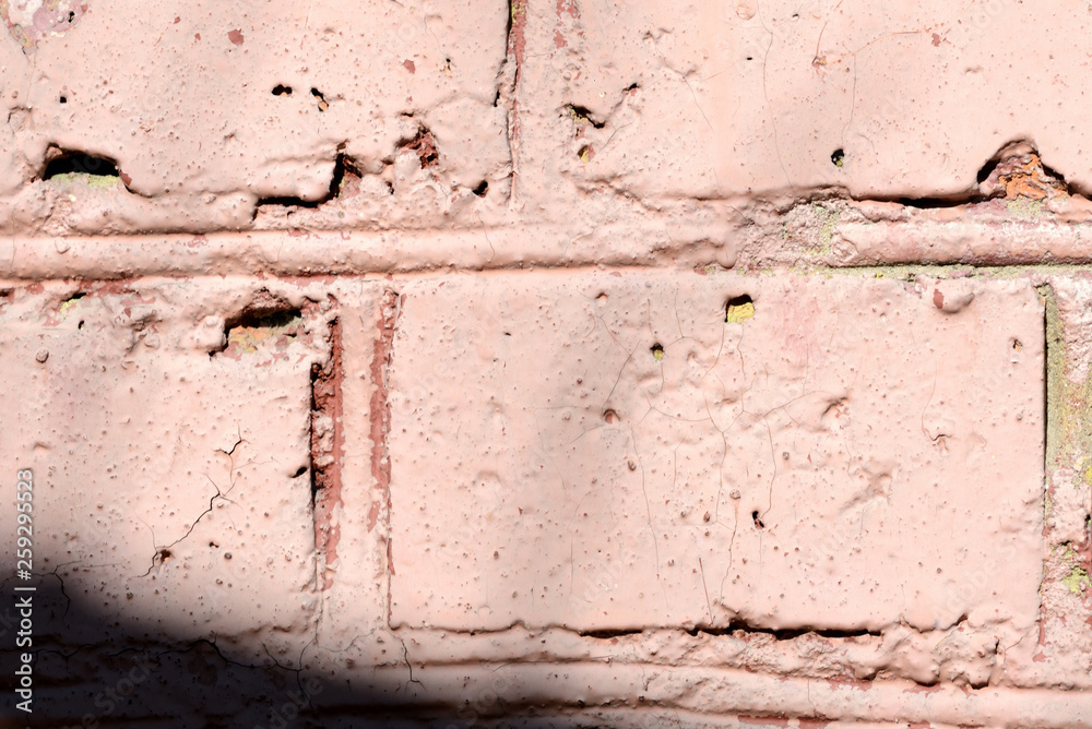 Obraz premium Old painted brick wall with shadows of branches on it on a sunny day.. Brick wall abstract background