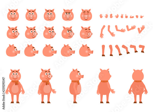 Pig character creation kit. Create your own actions, emotions, poses, facial expressions. Flat design vector illustration