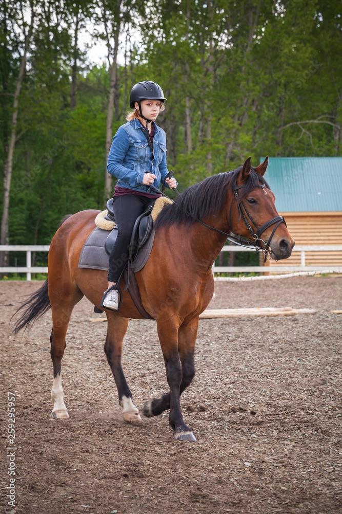 Horse riding lessons, teenage girl