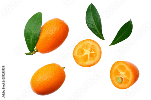 Cumquat or kumquat with leaves isolated on white background. top view