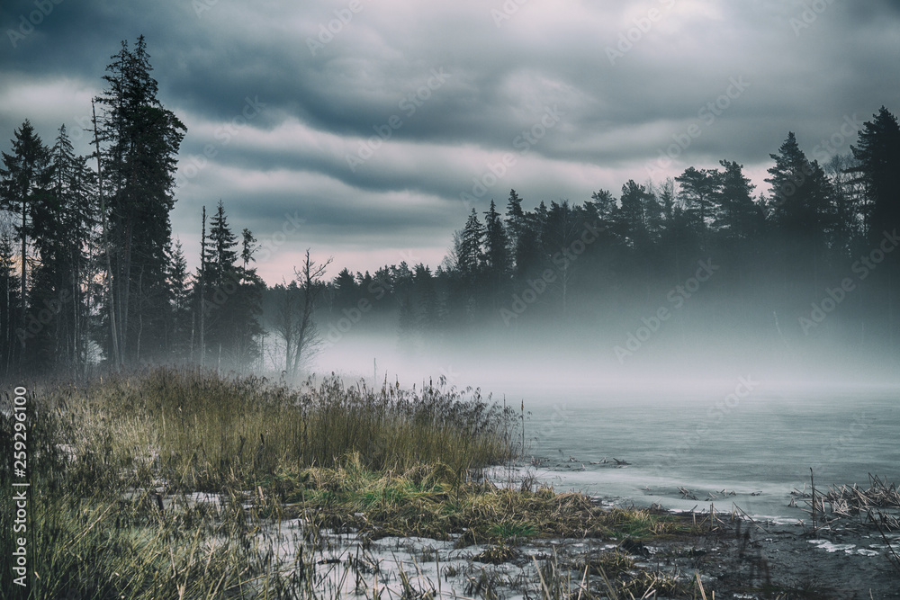 Foggy morning in late Winter