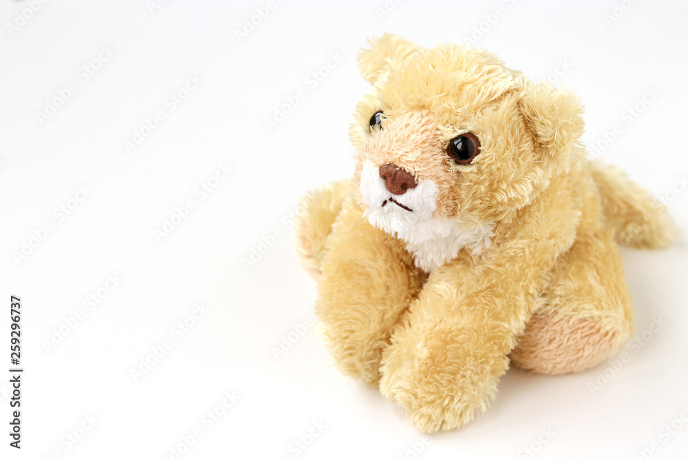 Soft toy bear is located on a white background Soft toy bear is located on a white background