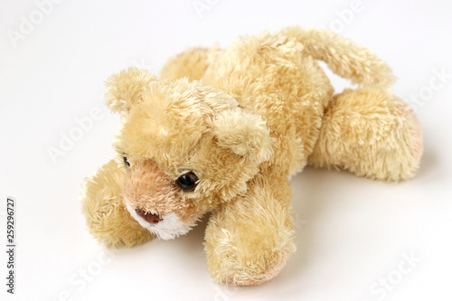 Soft toy bear is located on a white background © Anzhela