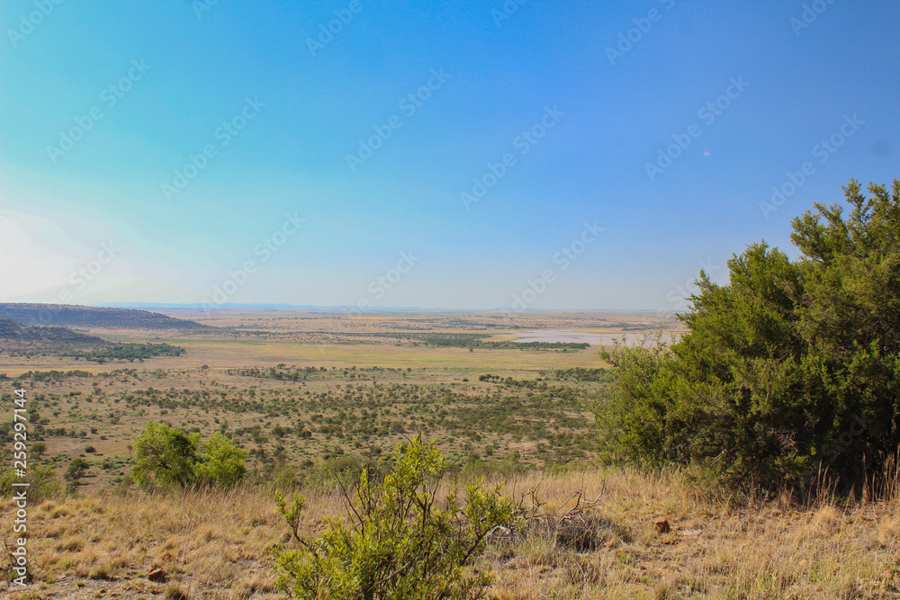 African landscape - plain in Vrystaat, South Africa