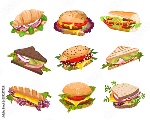 vector sandwiches illustration