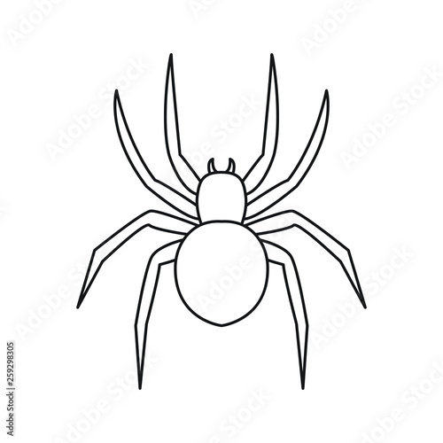 Spider line icon
