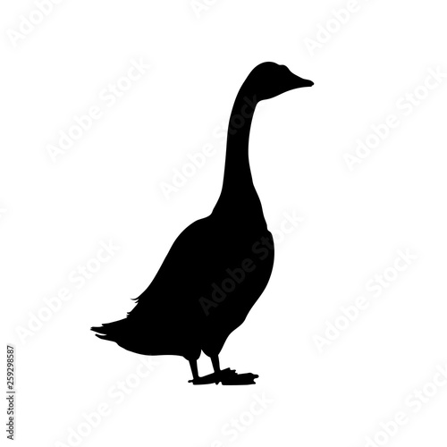 Black silhouette of goose. Isolated image of farm bird. Domestic amimal icon. Isolated image