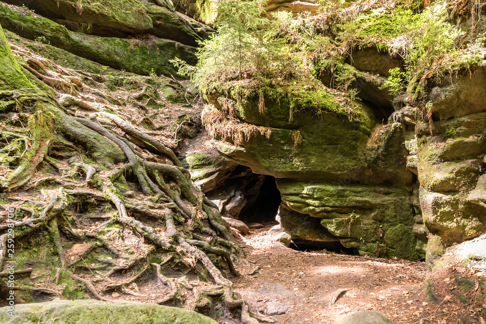 Fototapeta premium National park Elbsandsteingebirge Germany