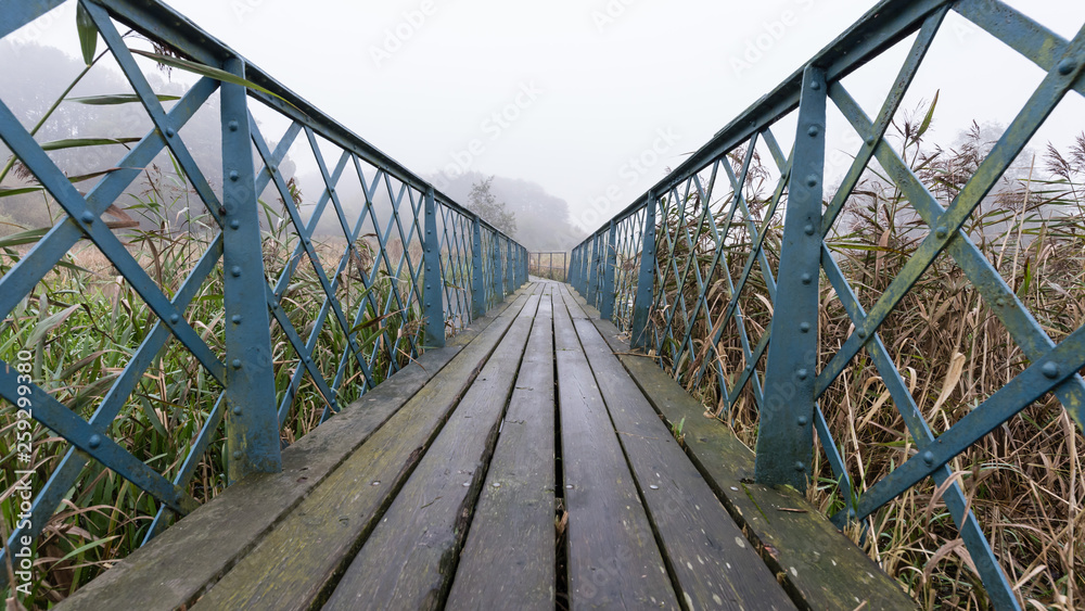 Fototapeta premium Footbridge