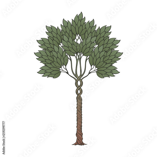 Medieval style tree.