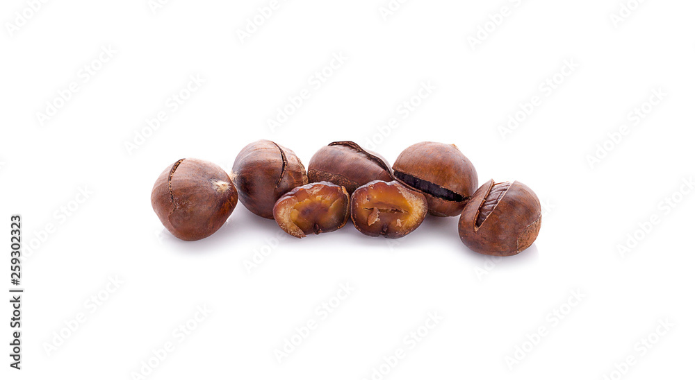 chestnut isolated on white background