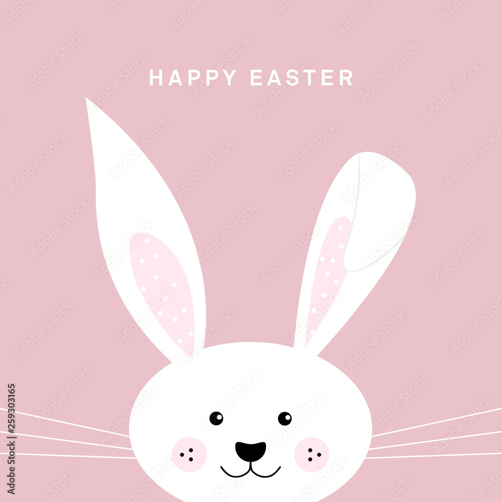 Fototapeta premium Easter bunny, happy easter