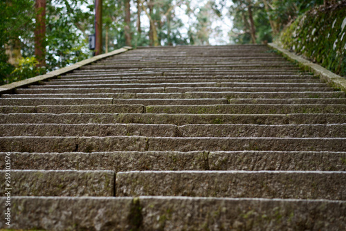 stone stairs in shrine in japan