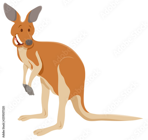 funny kangaroo cartoon animal character