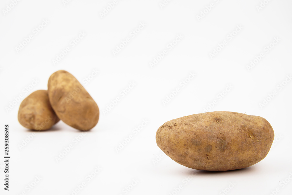 Three raw russet potatoes isolated on white background