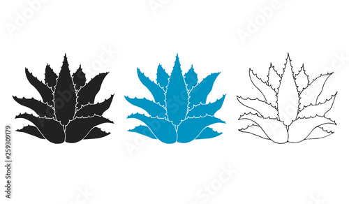 Blue agave pattern. Background for tequila or mescal drinks. Succulent, aloe graphic. Vector isolated mexican cactus illustration.