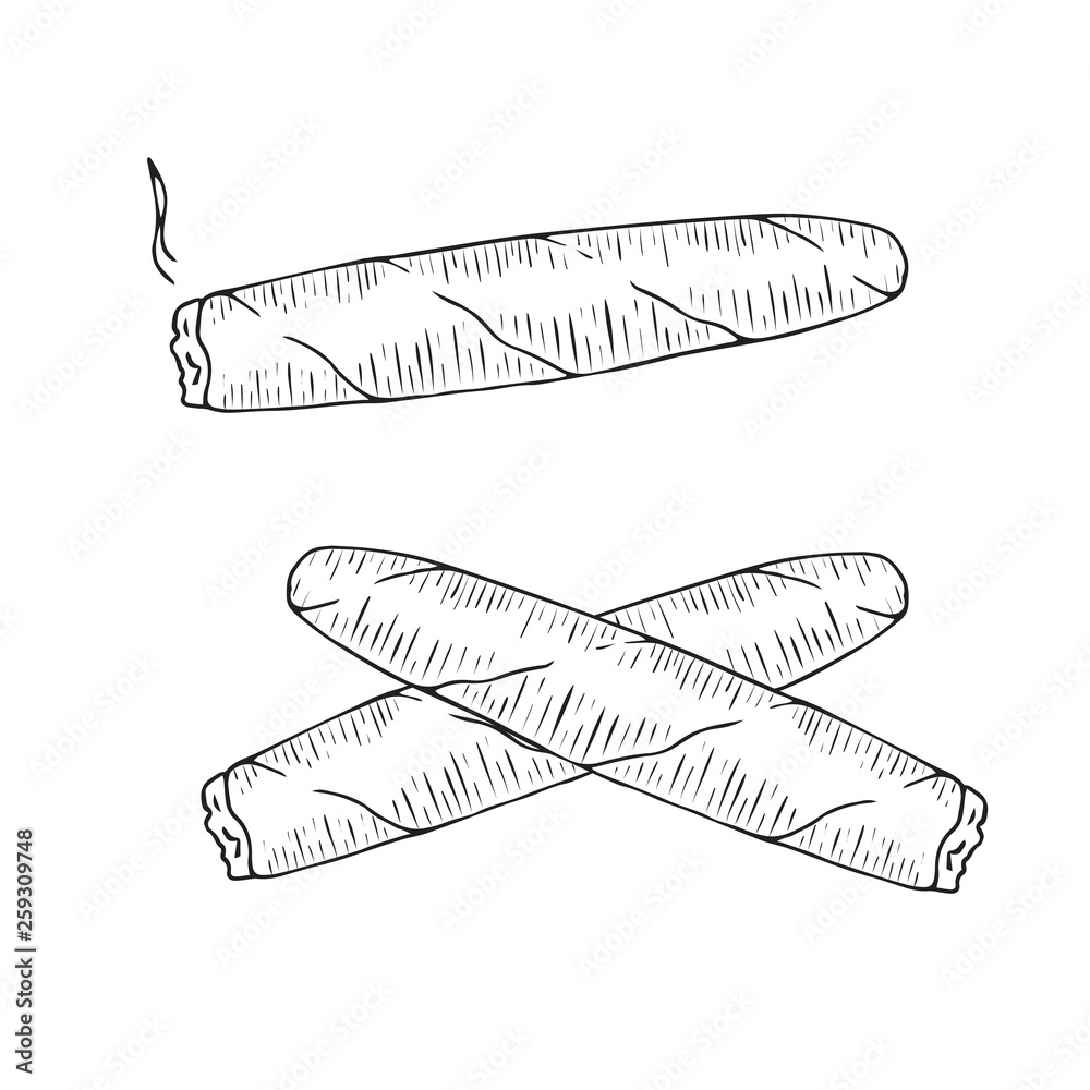 Cuban cigars for gentlemen club. Vector isolated. Cuban cigars for gentlemen club. Vector isolated.