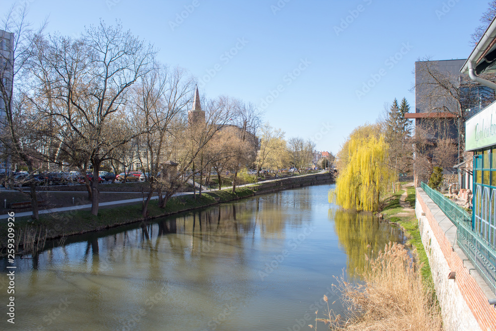 Fototapeta premium Spring embankment of the river Oder on a sunny day, Poland