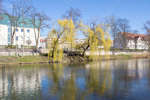  Spring embankment of the river Oder on a sunny day, Poland © Olena