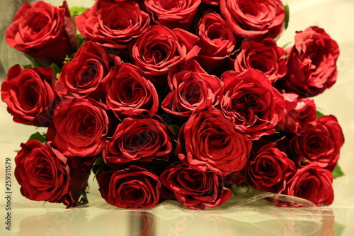 red roses to propose somone