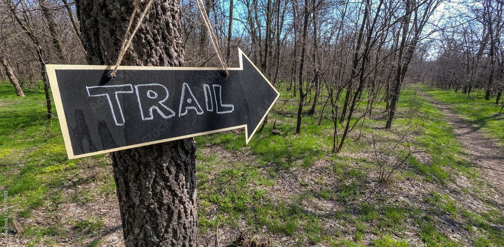 Nature walk trail route through forest