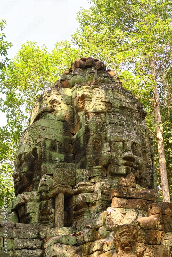 Fototapeta premium Visages sculptés dans la forêt Angkor 