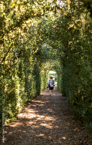Plant Tunnel in the gardens of the Jardins de Marqueyssac in the Dordogne region of France © wjarek
