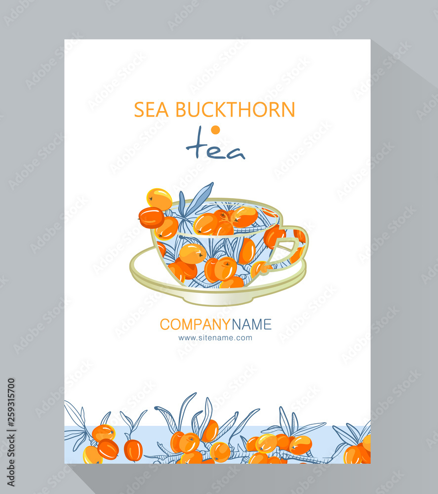 Tea Branding and Packaging with Cup of tea with Sea buckthorn. Brochure flyer design template vector.  Sea buckthorn tea.  Hand drawn eco design for fabric and packaging- tea.