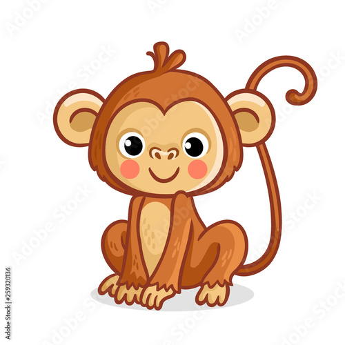 Monkey on a white background. Vector illustration
