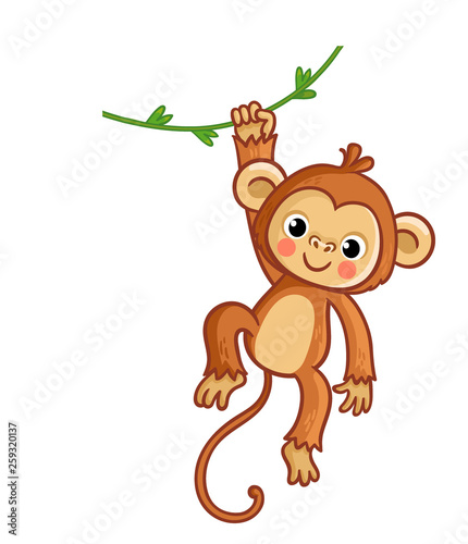 Monkey hanging on liana. Vector illustration. Cute animal.