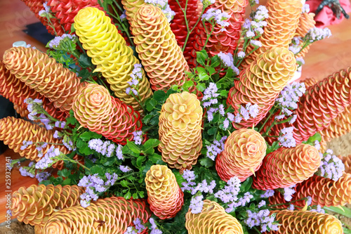 Golden beehive ginger, Zingiber spectabile griff, Beautiful tropical flowers Zingiberaceae