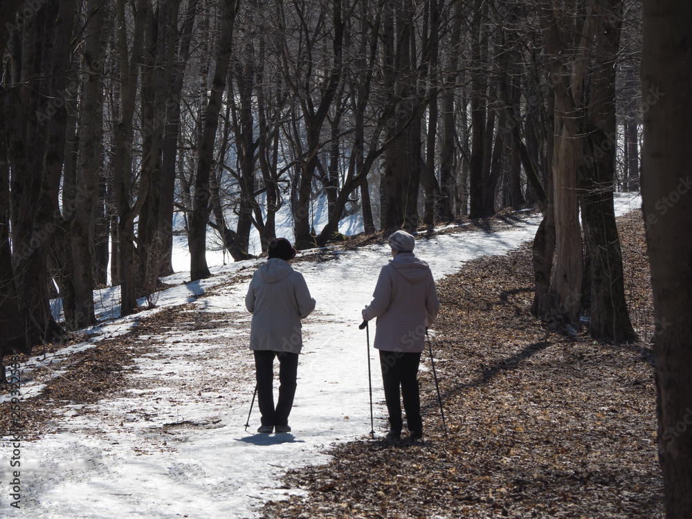 Two elderly people walk in the spring park. Two elderly people walk in the spring park.