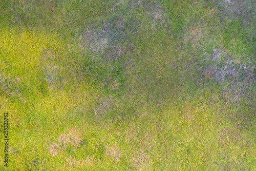 Aerial top view of Natural grass texture