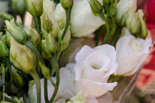 Bouquet of flowers of former eustoma close up