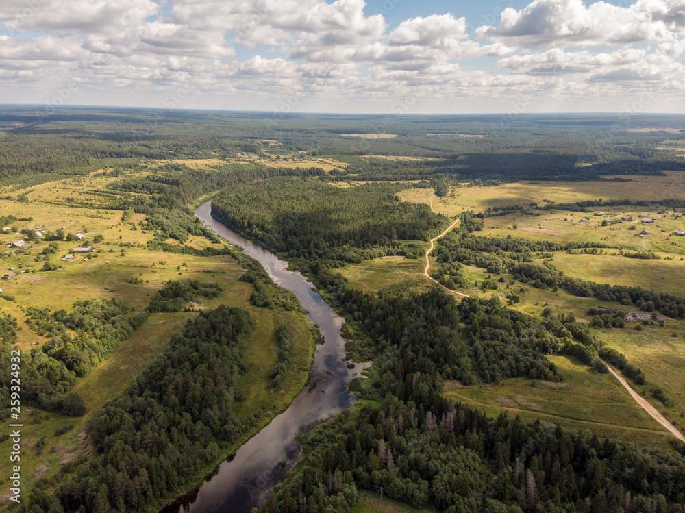 View of the forest river in the summer with a drone