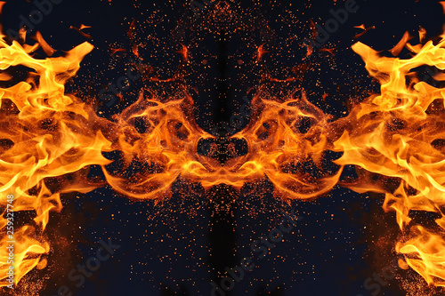 Abstraction, burning fire with sparks. Mystical type of butterfly or monster. Horizontal reflection