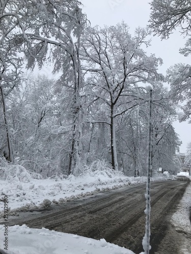 First Snowfall in my backyard