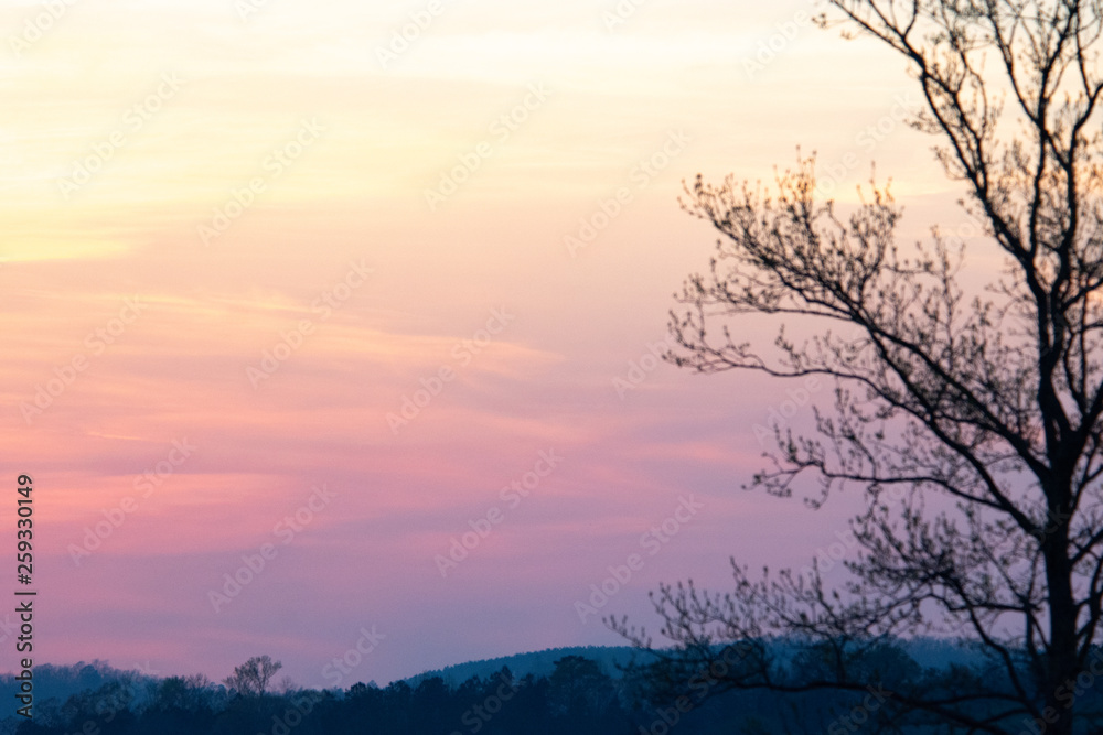 tree on edge of pasture during hazy sunset tree on edge of pasture during hazy sunset