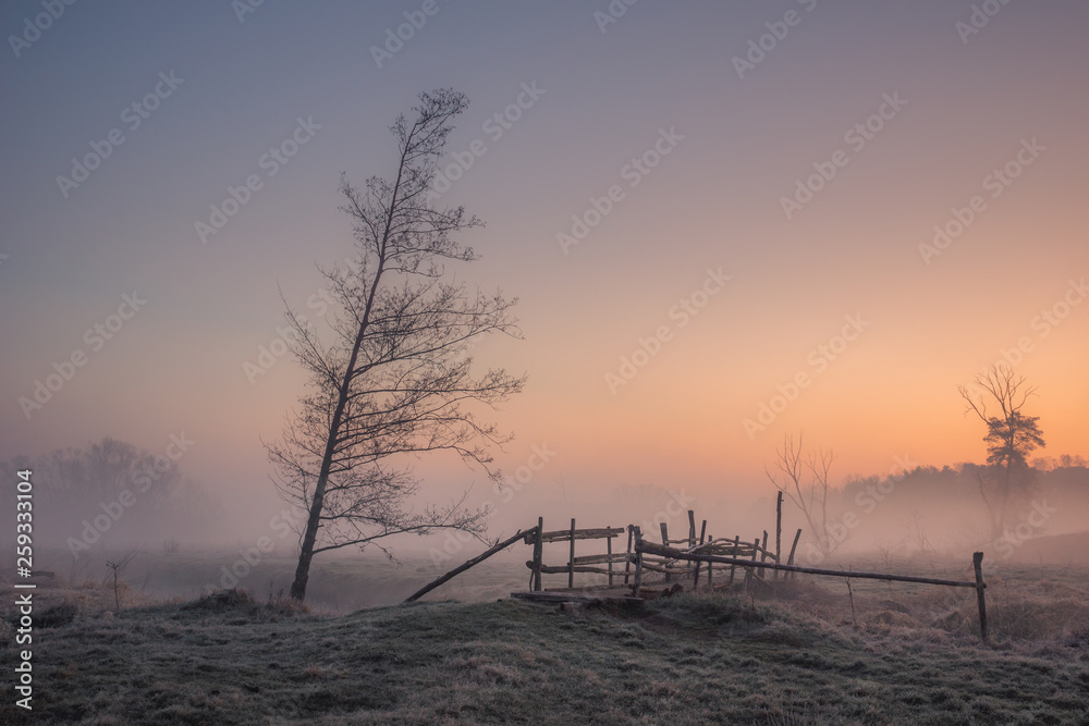 Foggy morning in the valley of the Jeziorka river near Piaseczno, Masovia, Poland Foggy morning in the valley of the Jeziorka river near Piaseczno, Masovia, Poland
