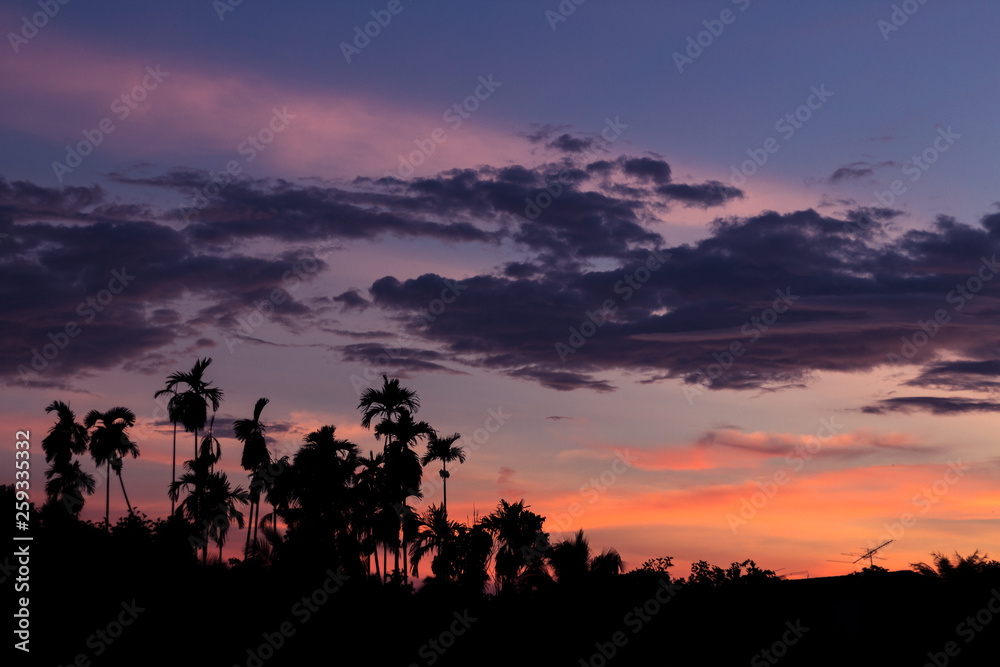 Silhouette picture of coconut tree in twilight sky in evening